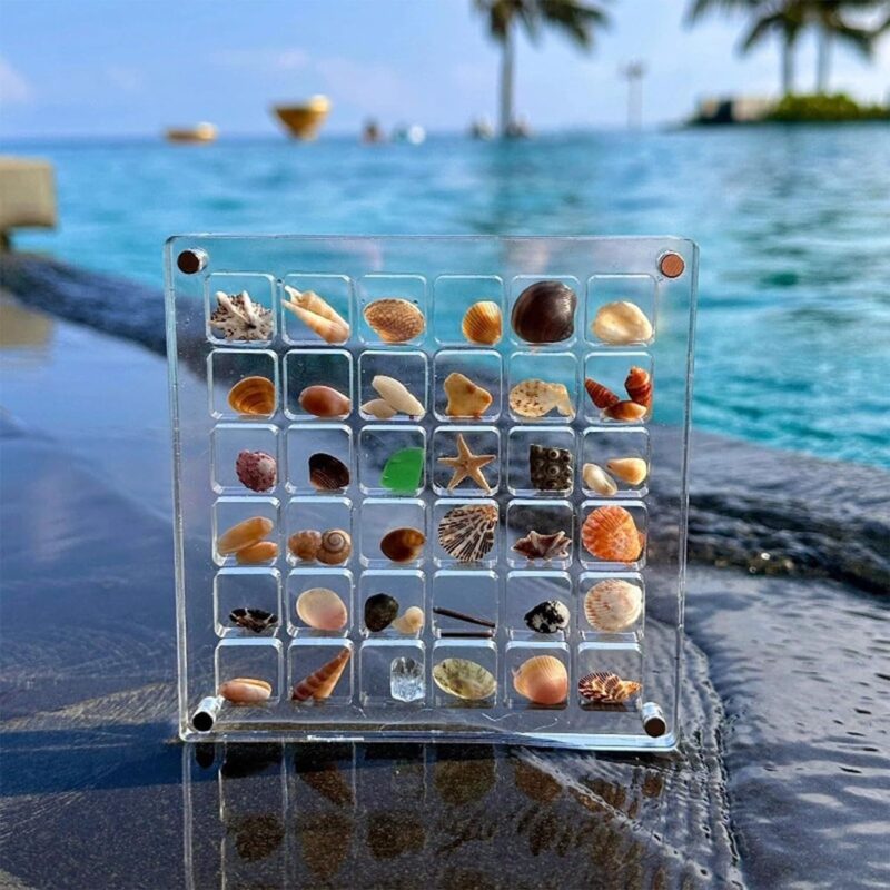 36 64 Grids Seashell Display Box Acrylic Magnetic Seashell Display Case Organizer Box Jewelry Storage Box Stackable Small Craft Compartment Box - Image 4