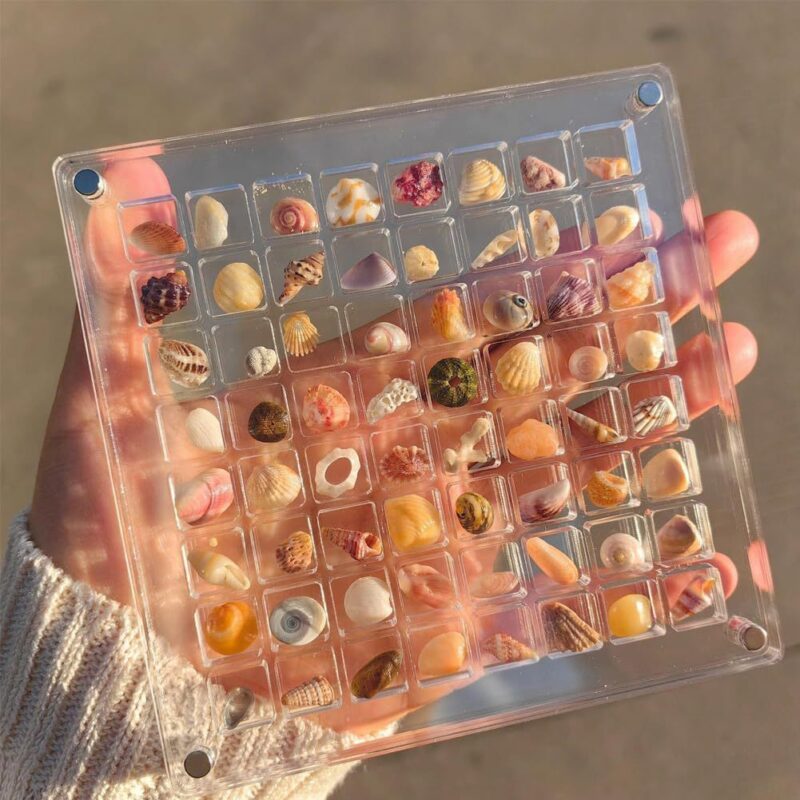 36 64 Grids Seashell Display Box Acrylic Magnetic Seashell Display Case Organizer Box Jewelry Storage Box Stackable Small Craft Compartment Box - Image 2